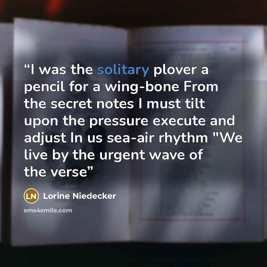 “I was the solitary plover a pencil for a wing-bone From the secret notes I must tilt upon the pressure execute and adjust In us sea-air rhythm "We live by the urgent wave of the verse” quote by Lorine Niedecker
