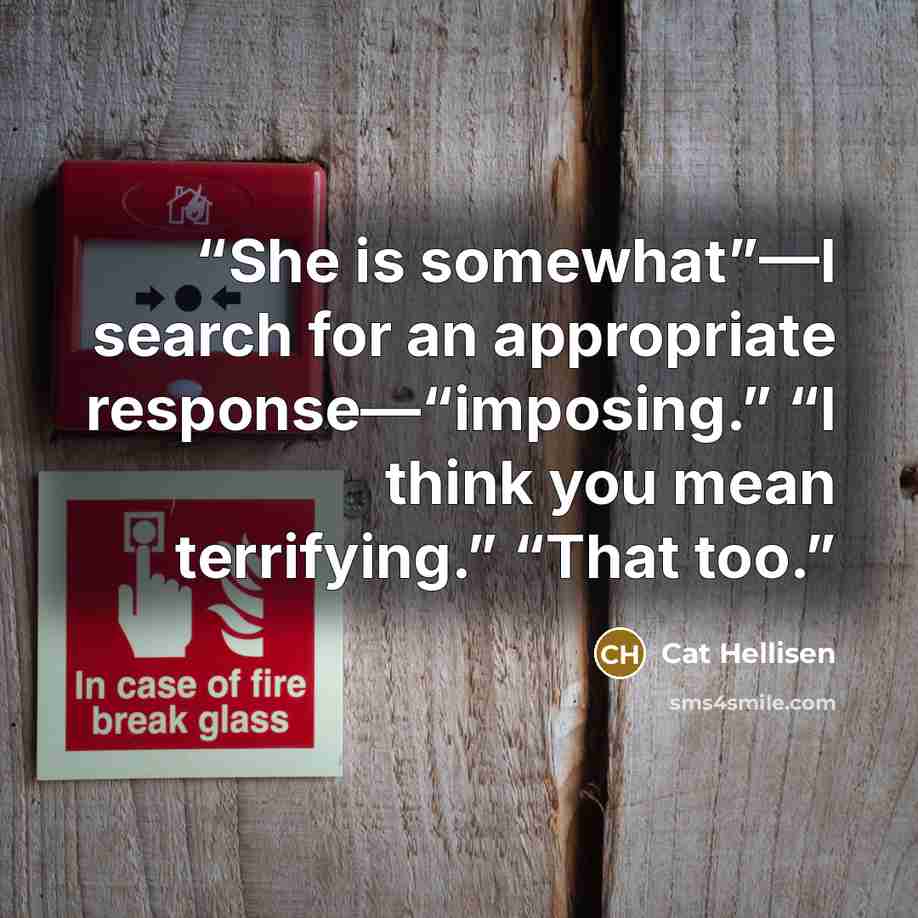 “She is somewhat”—I search for an appropriate response—“imposing.” “I think you mean terrifying.” “That too.” quote by Cat Hellisen