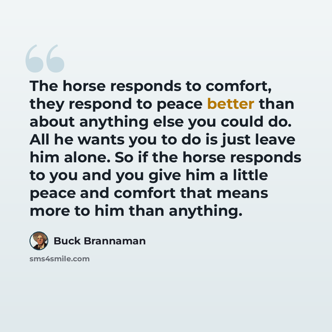 “The horse responds to comfort, they respond to peace better than about anything else you could do. All he wants you to do is just leave him alone. So if the horse responds to you and you give him a little peace and comfort that means more to him than anything.” quote by Buck Brannaman
