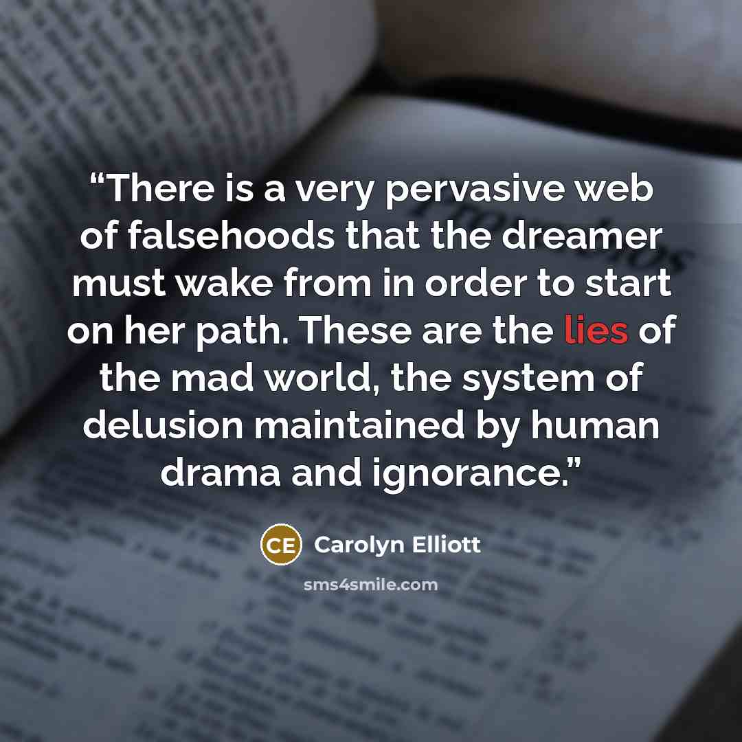 “There is a very pervasive web of falsehoods that the dreamer must wake from in order to start on her path. These are the lies of the mad world, the system of delusion maintained by human drama and ignorance.” quote by Carolyn Elliott