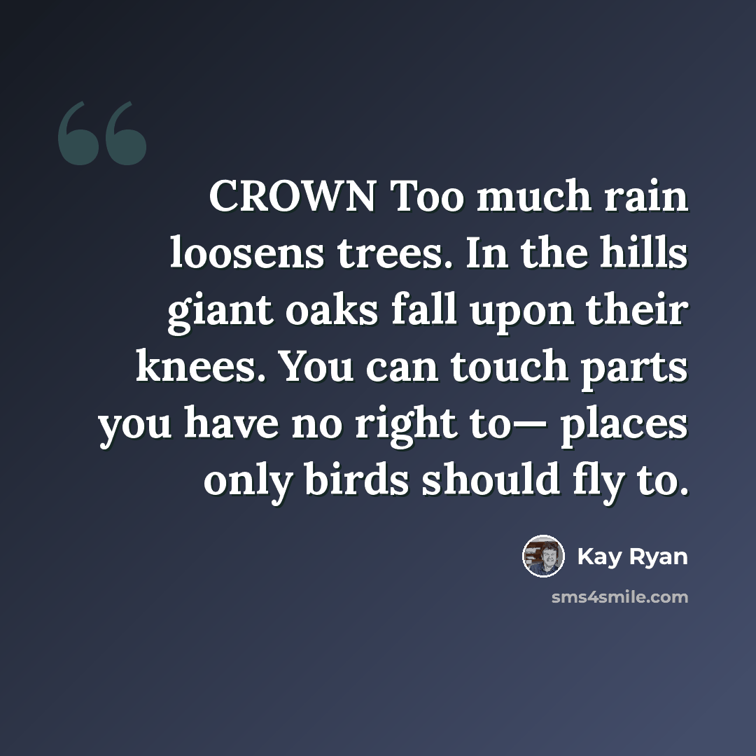 “CROWN Too much rain loosens trees. In the hills giant oaks fall upon their knees. You can touch parts you have no right to— places only birds should fly to.” quote by Kay Ryan