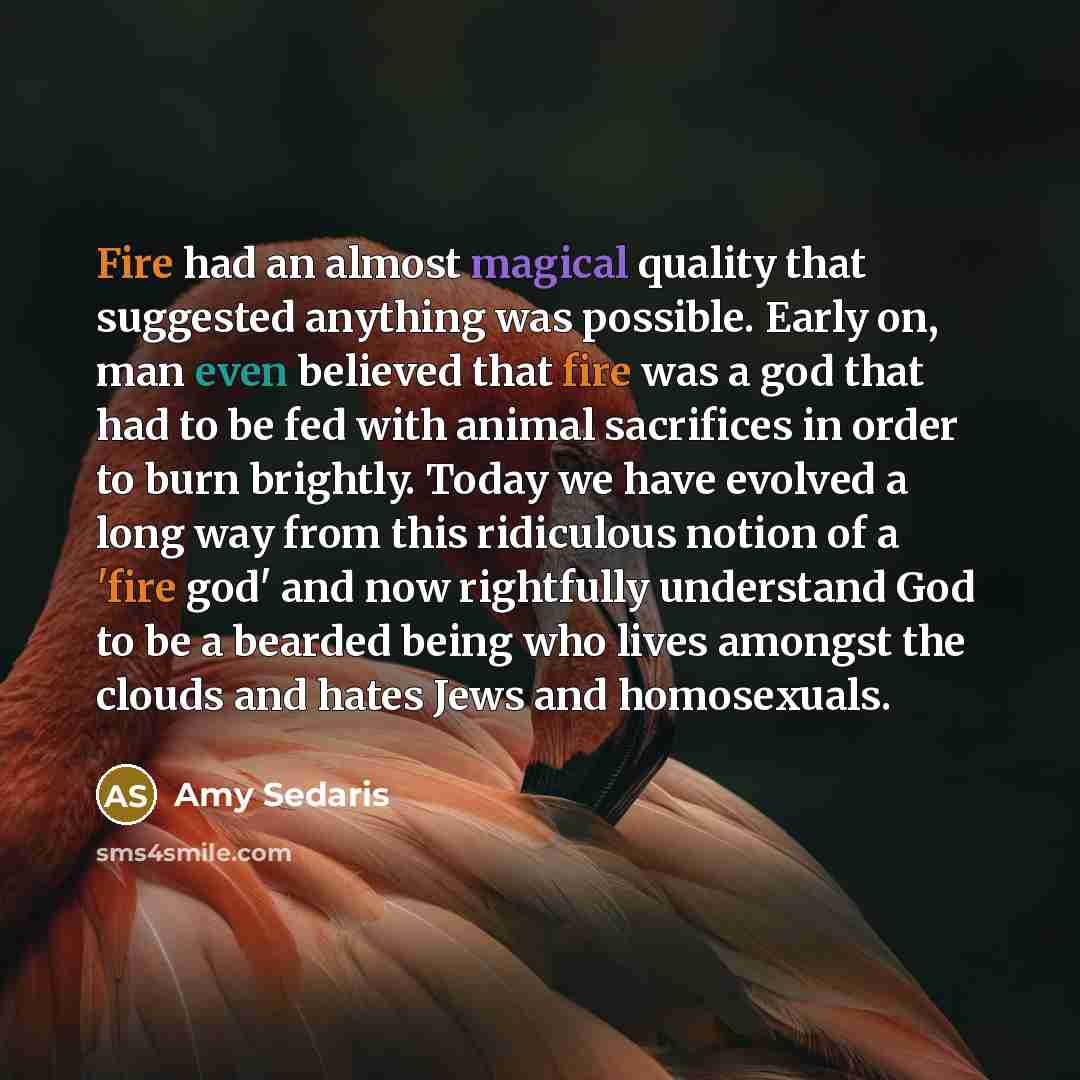 “Fire had an almost magical quality that suggested anything was possible. Early on, man even believed that fire was a god that had to be fed with animal sacrifices in order to burn brightly. Today we have evolved a long way from this ridiculous notion of a 'fire god' and now rightfully understand…” quote by Amy Sedaris