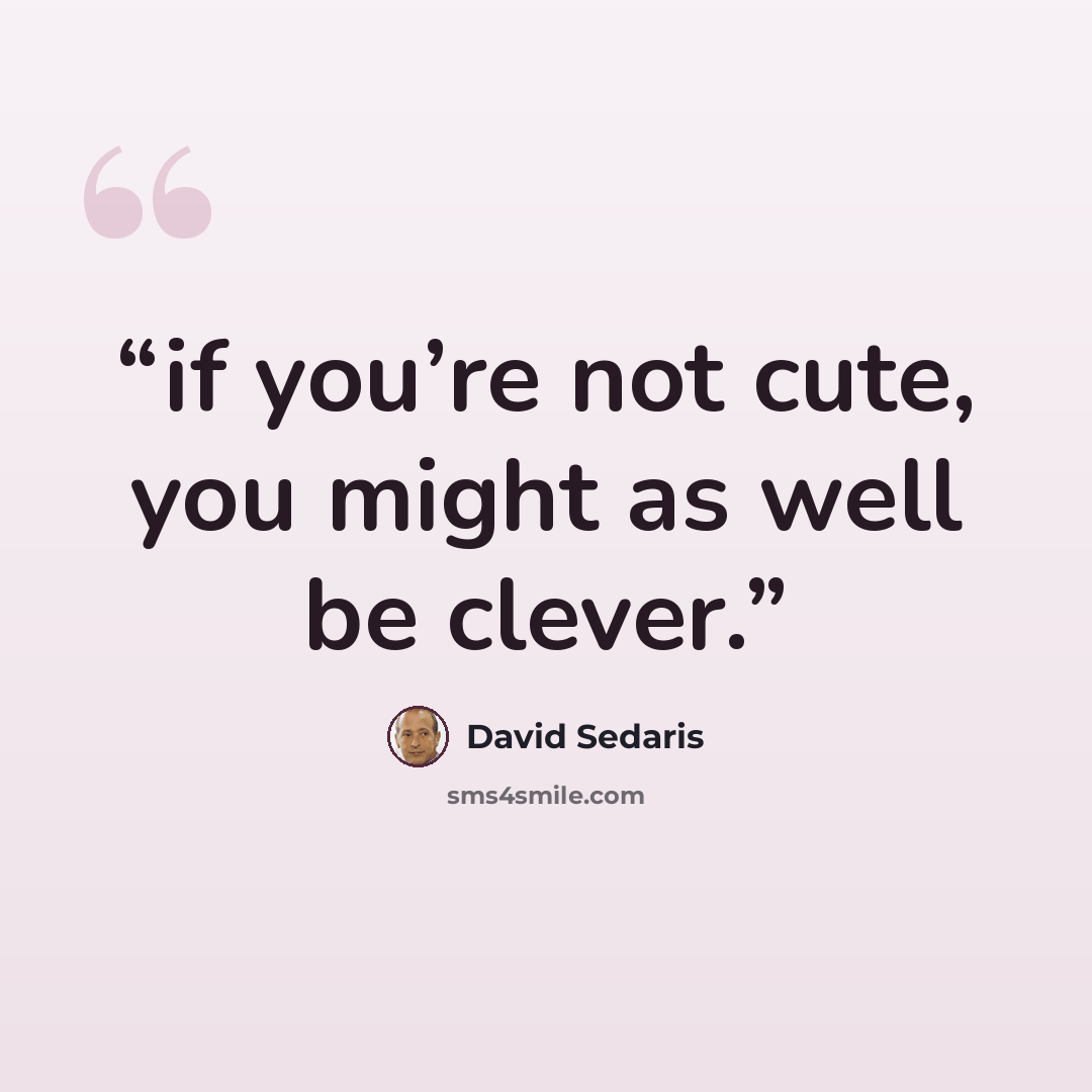 “if you’re not cute, you might as well be clever.” quote by David Sedaris