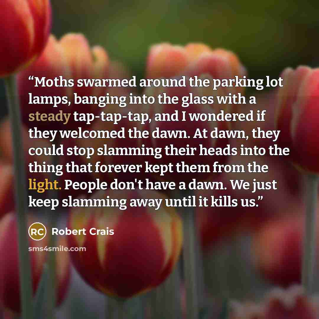 “Moths swarmed around the parking lot lamps, banging into the glass with a steady tap-tap-tap, and I wondered if they welcomed the dawn. At dawn, they could stop slamming their heads into the thing that forever kept them from the light. People don't have a dawn. We just keep slamming away until it…” quote by Robert Crais