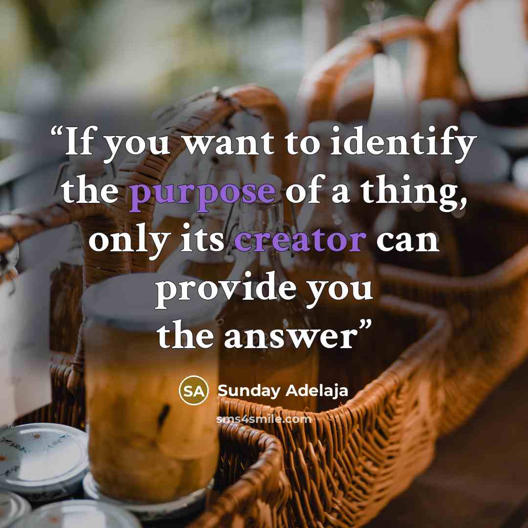 “If you want to identify the purpose of a thing, only its creator can provide you the answer” quote by Sunday Adelaja
