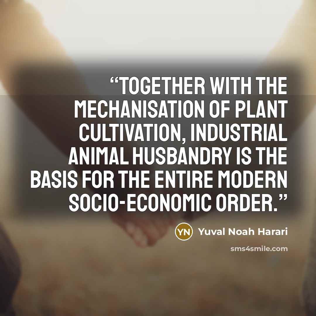“Together with the mechanisation of plant cultivation, industrial animal husbandry is the basis for the entire modern socio-economic order.” quote by Yuval Noah Harari