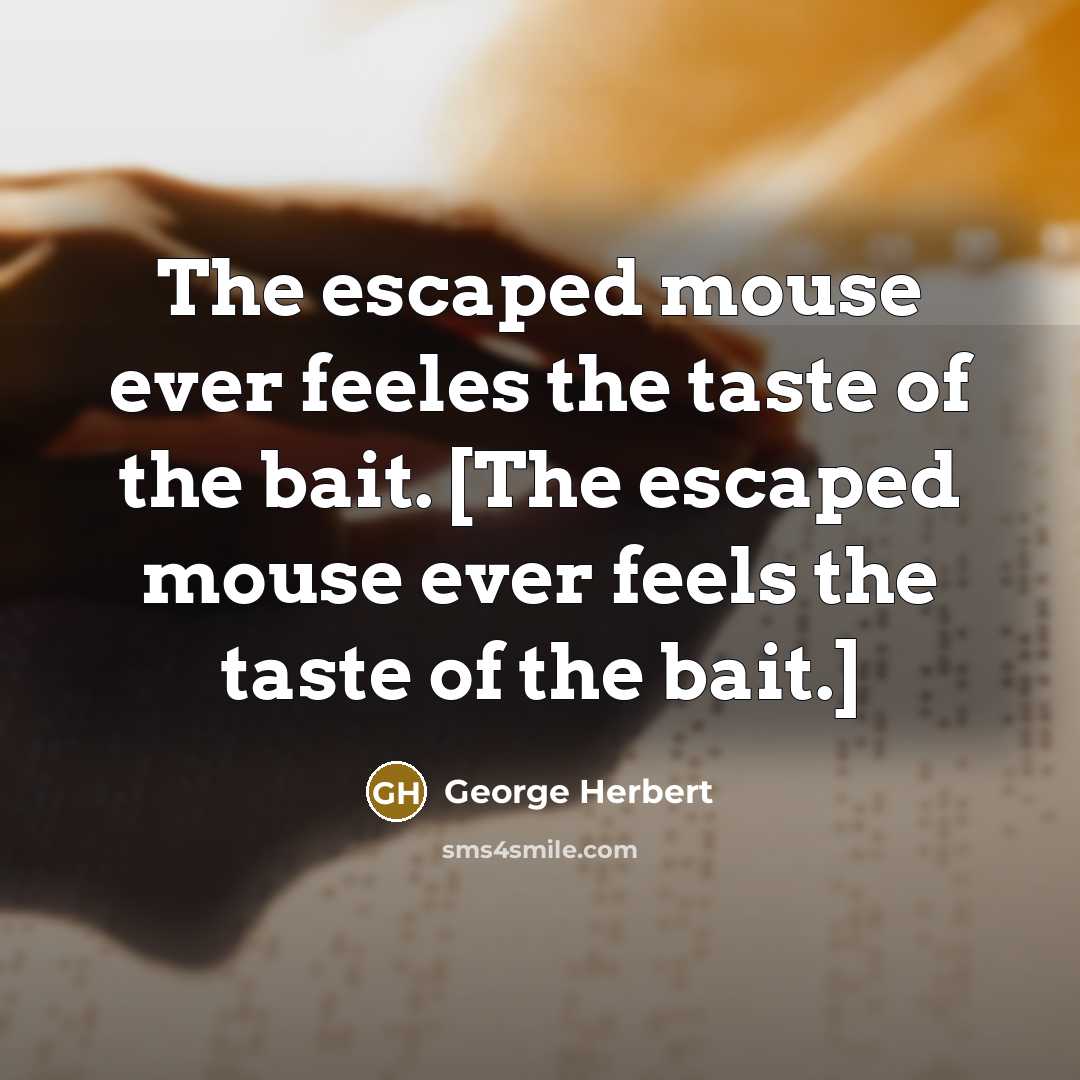 “The escaped mouse ever feeles the taste of the bait. [The escaped mouse ever feels the taste of the bait.]” quote by George Herbert