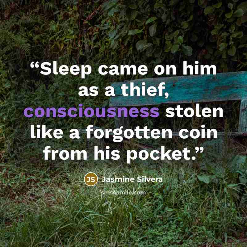 “Sleep came on him as a thief, consciousness stolen like a forgotten coin from his pocket.” quote by Jasmine Silvera