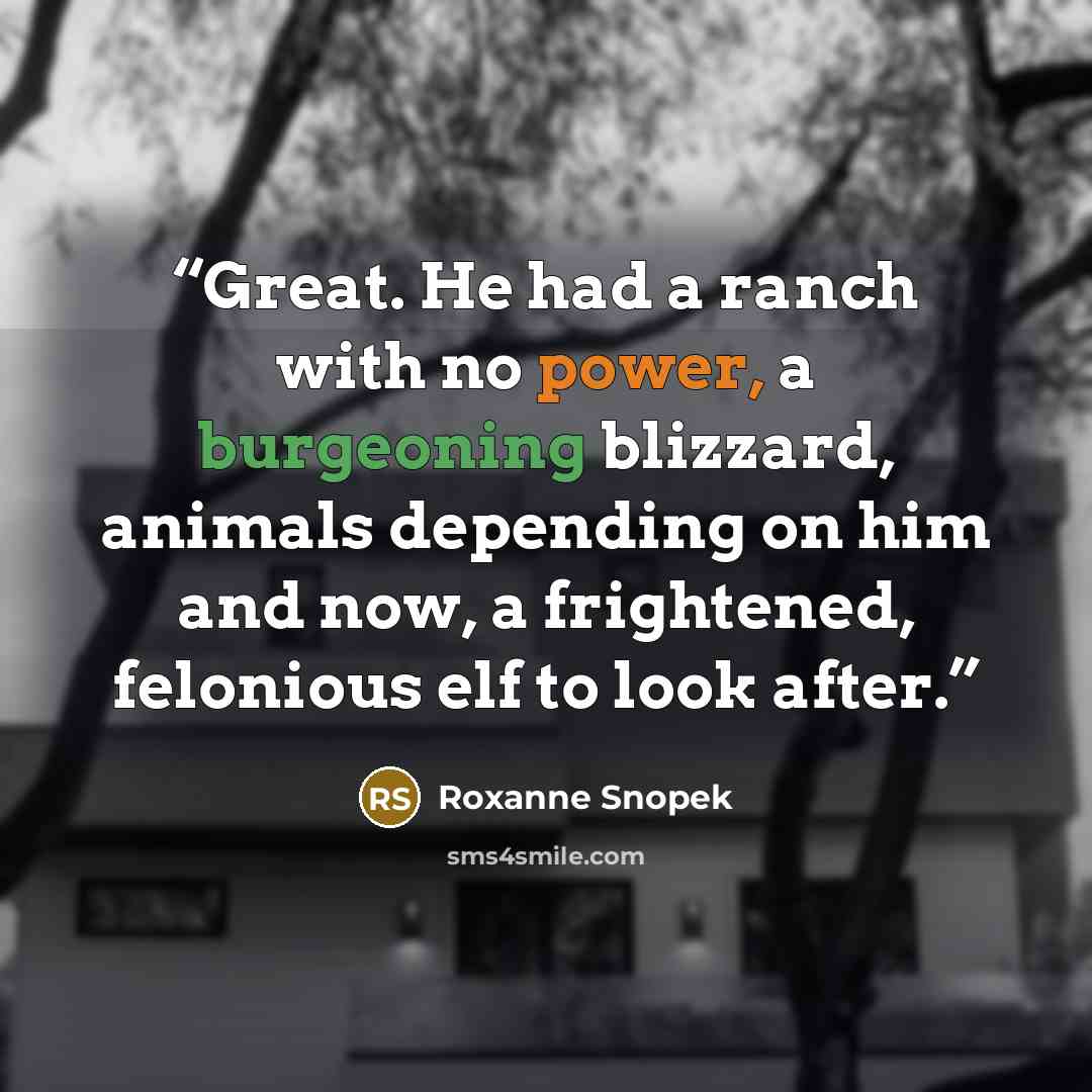 “Great. He had a ranch with no power, a burgeoning blizzard, animals depending on him and now, a frightened, felonious elf to look after.” quote by Roxanne Snopek