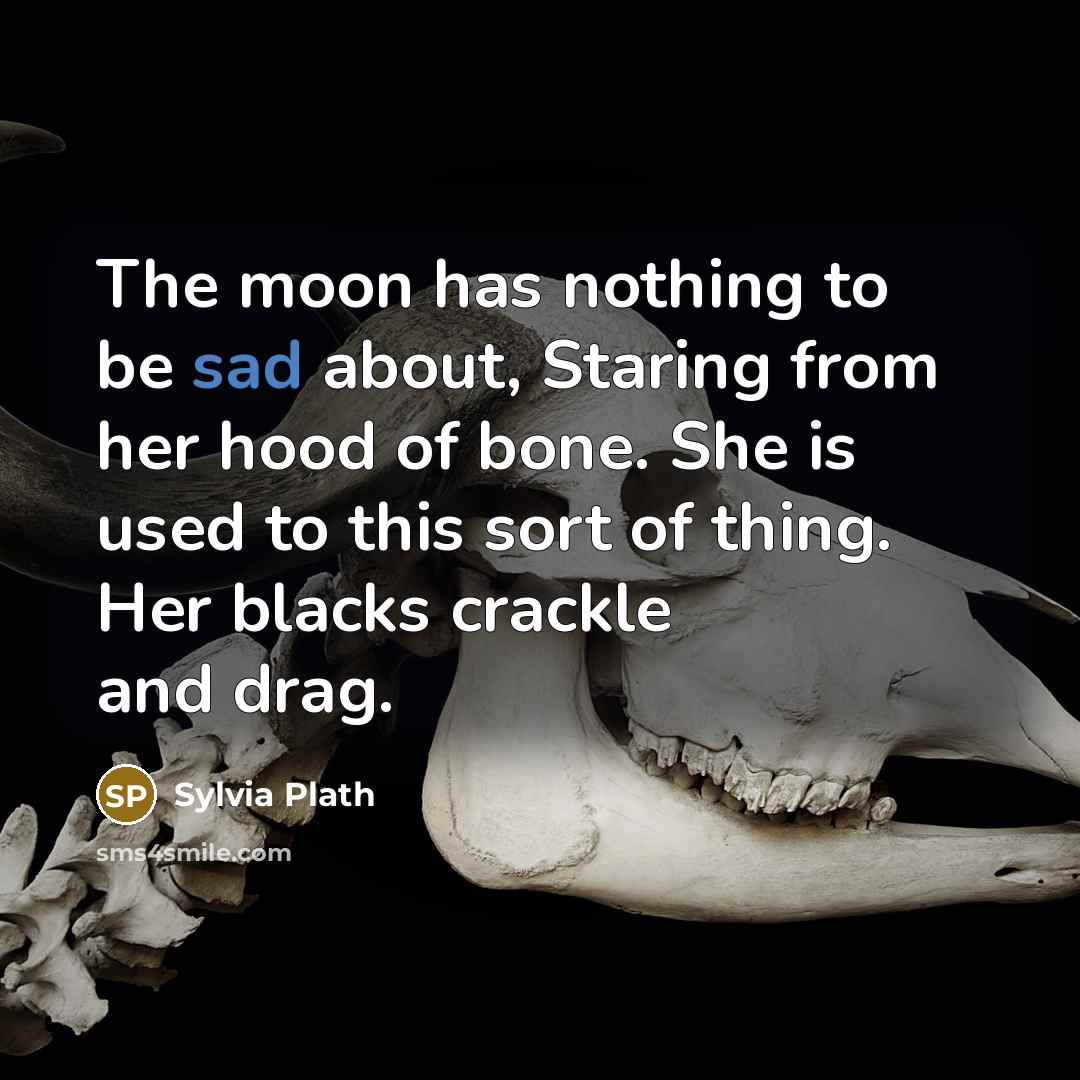 “The moon has nothing to be sad about, Staring from her hood of bone. She is used to this sort of thing. Her blacks crackle and drag.” quote by Sylvia Plath