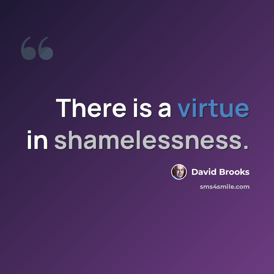 “There is a virtue in shamelessness.” quote by David Brooks