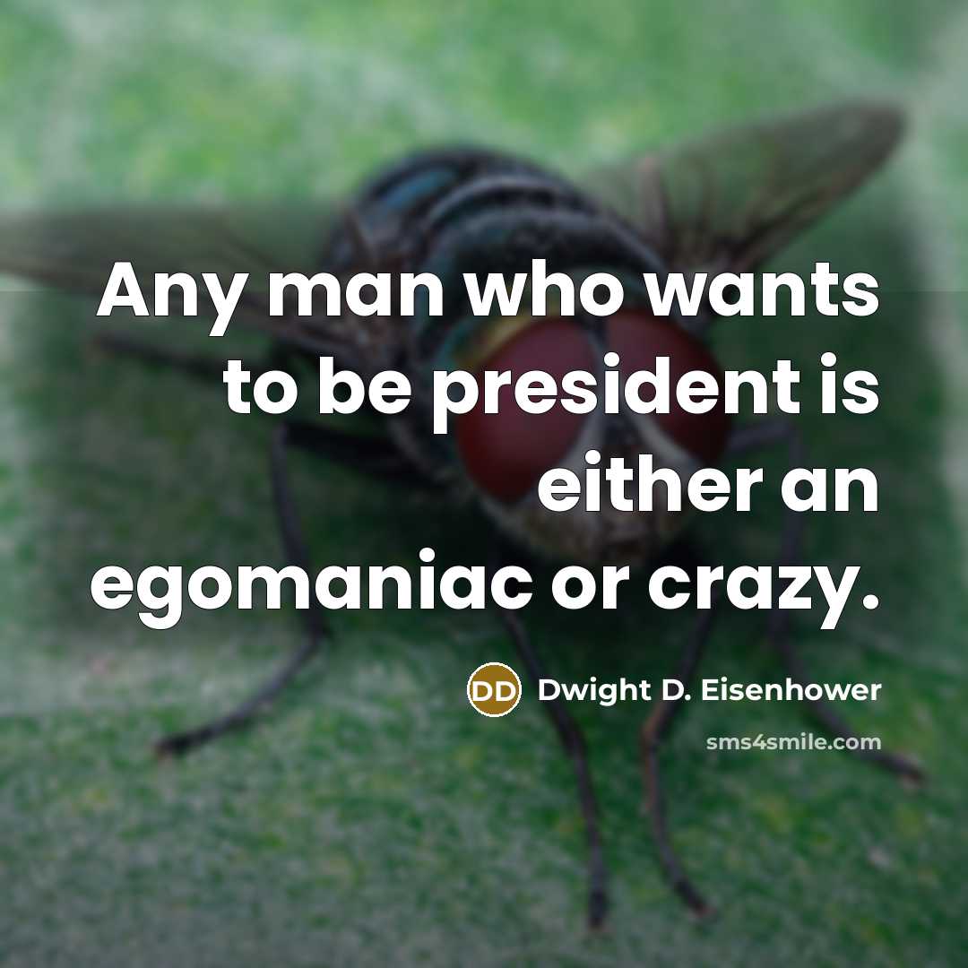 “Any man who wants to be president is either an egomaniac or crazy.” quote by Dwight D. Eisenhower