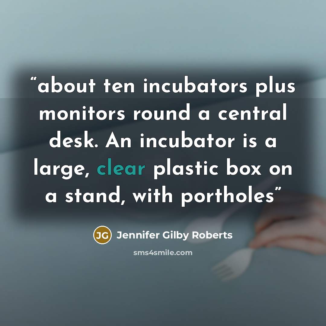 “about ten incubators plus monitors round a central desk. An incubator is a large, clear plastic box on a stand, with portholes” quote by Jennifer Gilby Roberts