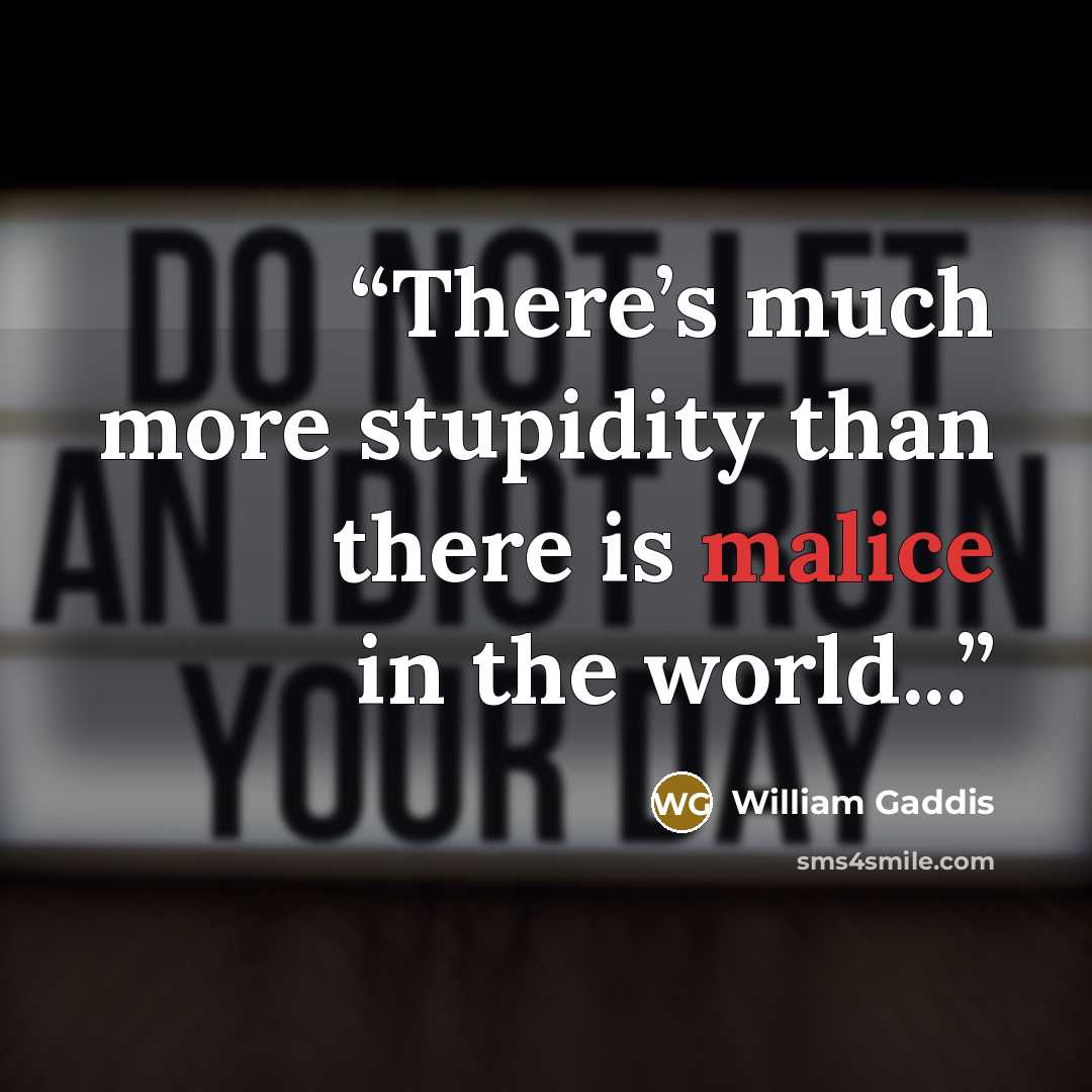 “There’s much more stupidity than there is malice in the world...” quote by William Gaddis