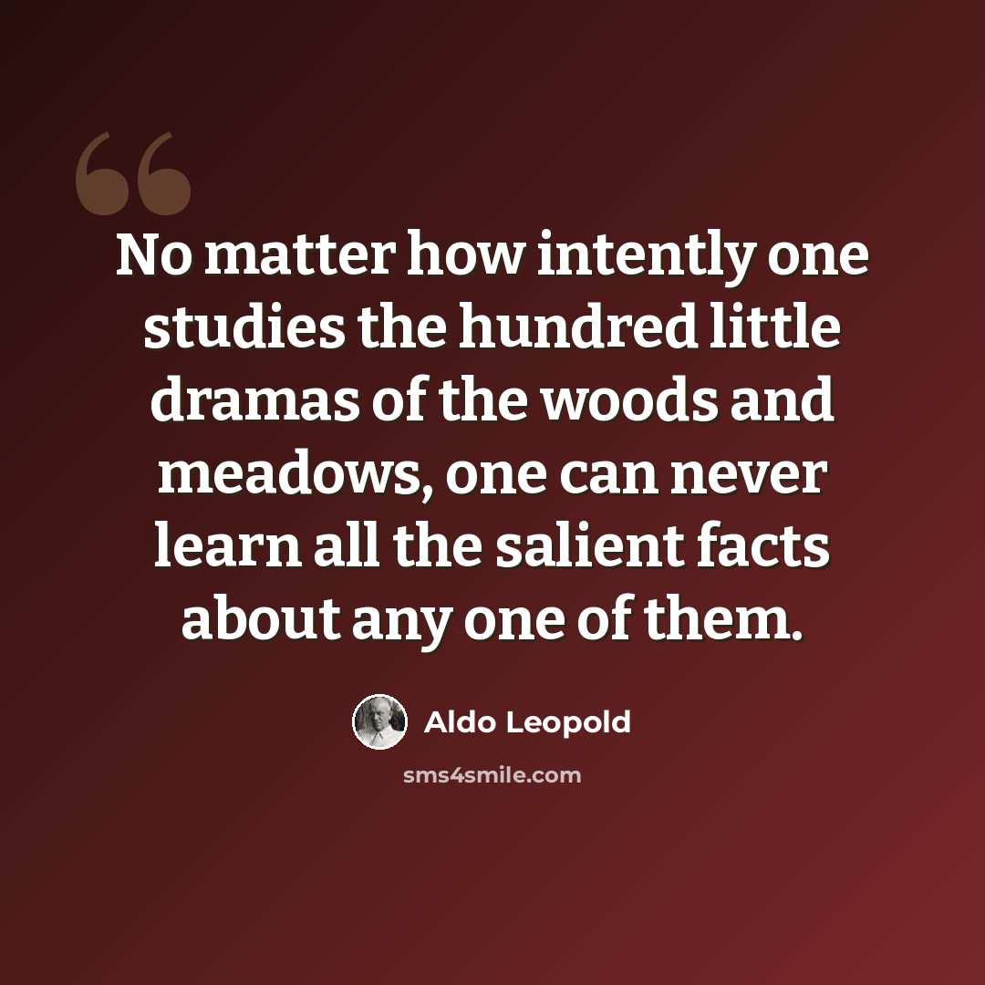 “No matter how intently one studies the hundred little dramas of the woods and meadows, one can never learn all the salient facts about any one of them.” quote by Aldo Leopold