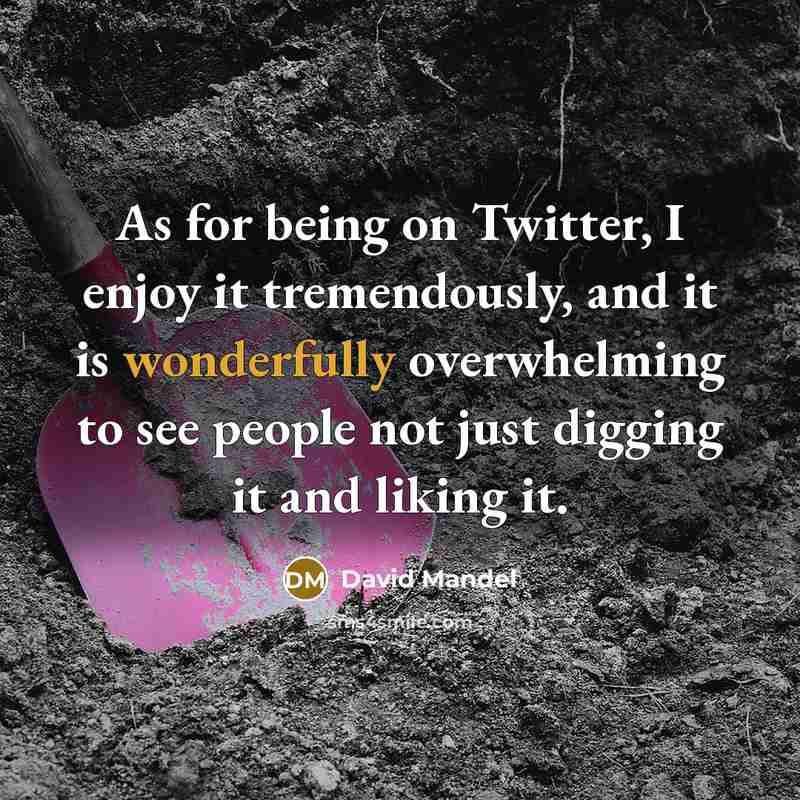 “As for being on Twitter, I enjoy it tremendously, and it is wonderfully overwhelming to see people not just digging it and liking it.” quote by David Mandel