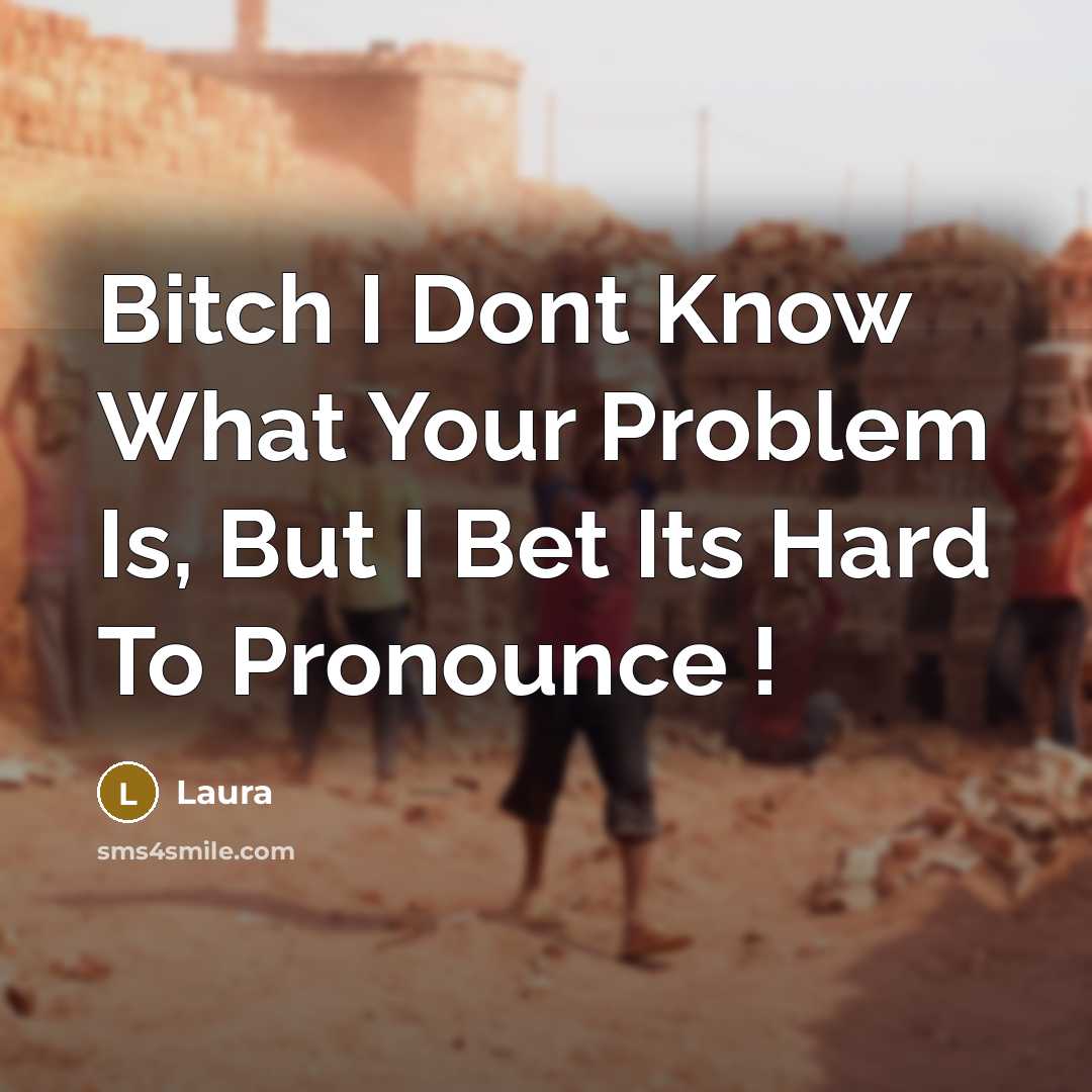 “Bitch I Dont Know What Your Problem Is, But I Bet Its Hard To Pronounce !” quote by Laura