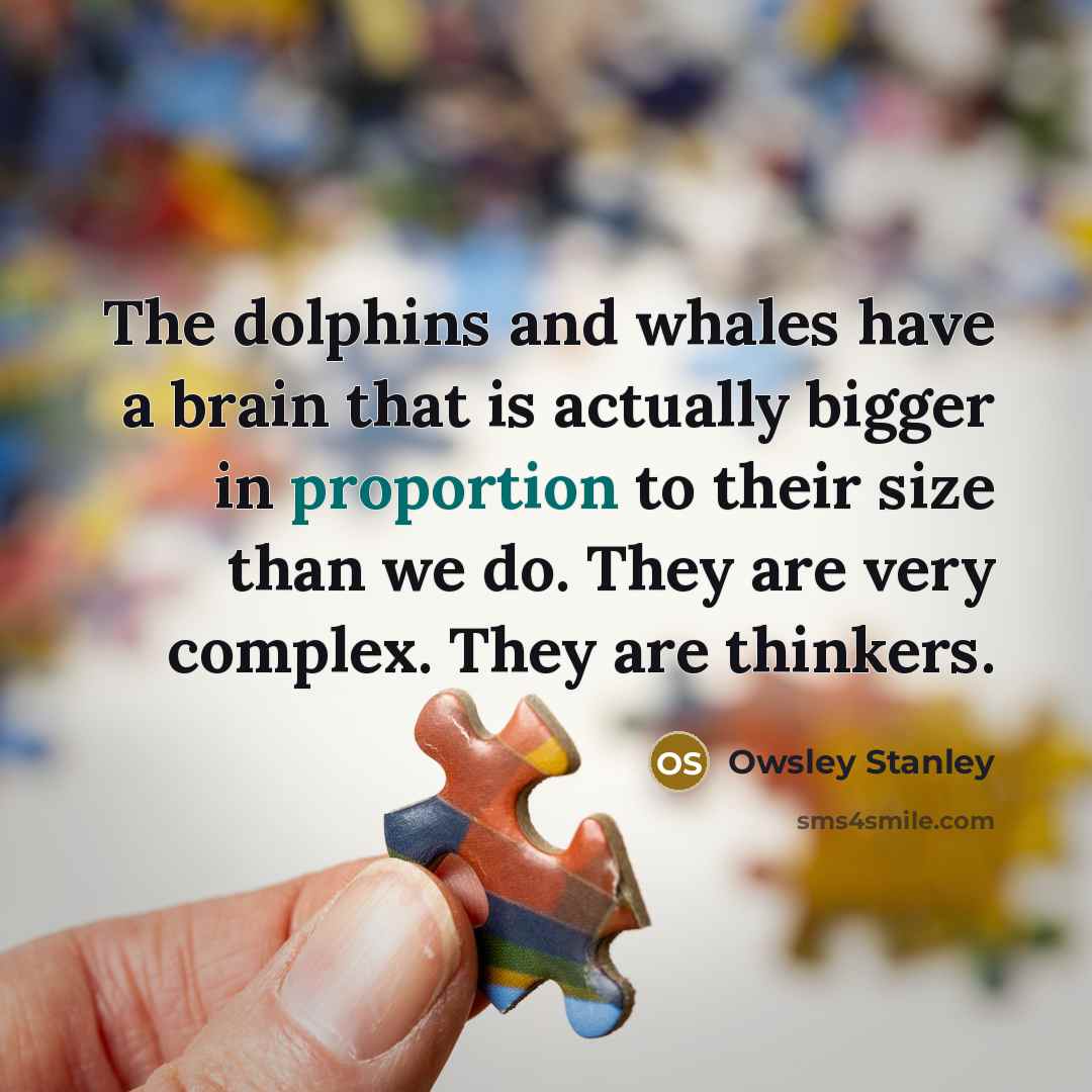 “The dolphins and whales have a brain that is actually bigger in proportion to their size than we do. They are very complex. They are thinkers.” quote by Owsley Stanley
