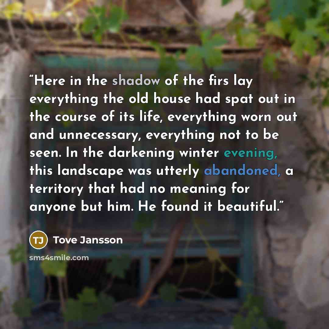“Here in the shadow of the firs lay everything the old house had spat out in the course of its life, everything worn out and unnecessary, everything not to be seen. In the darkening winter evening, this landscape was utterly abandoned, a territory that had no meaning for anyone but him. He found it…” quote by Tove Jansson