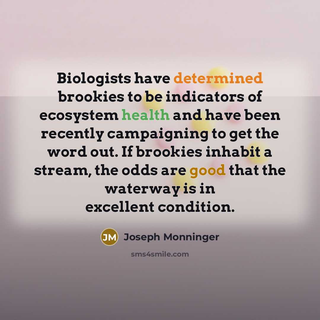 “Biologists have determined brookies to be indicators of ecosystem health and have been recently campaigning to get the word out. If brookies inhabit a stream, the odds are good that the waterway is in excellent condition.” quote by Joseph Monninger