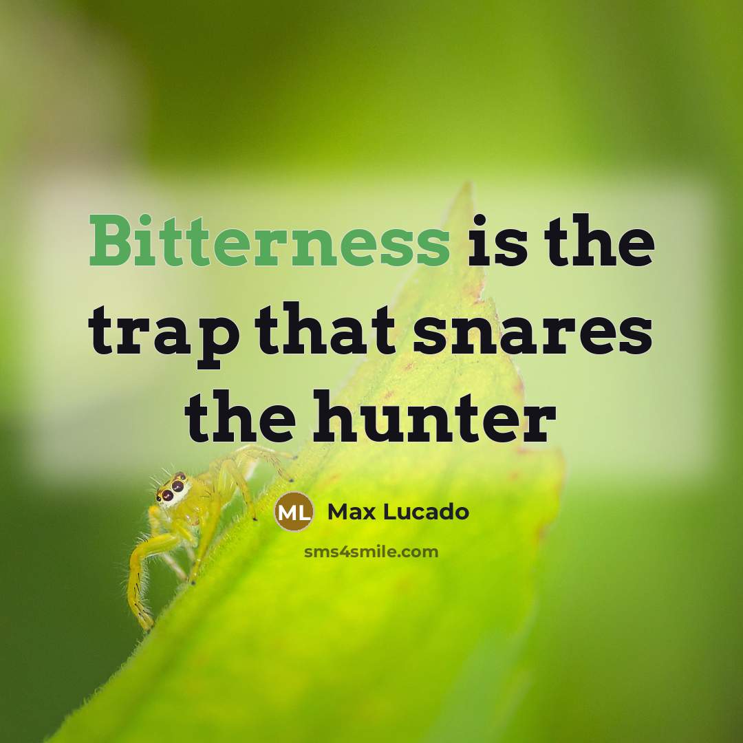 “Bitterness is the trap that snares the hunter” quote by Max Lucado