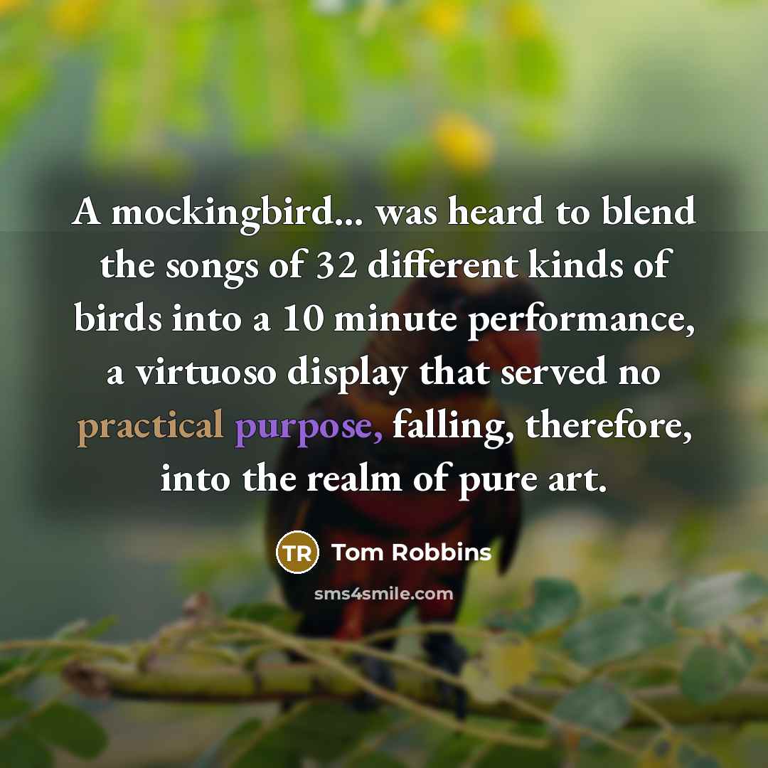 “A mockingbird... was heard to blend the songs of 32 different kinds of birds into a 10 minute performance, a virtuoso display that served no practical purpose, falling, therefore, into the realm of pure art.” quote by Tom Robbins