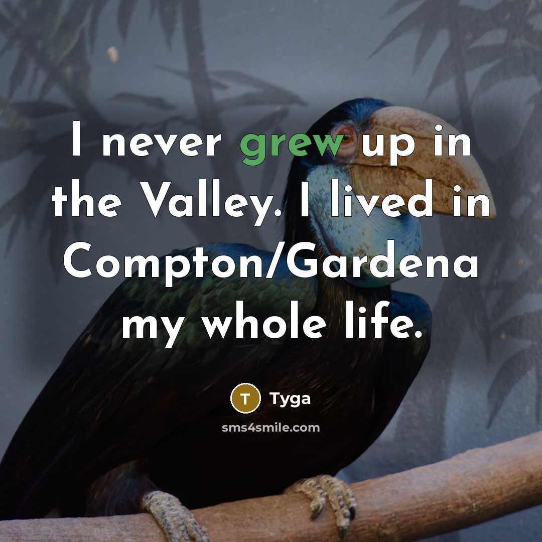 “I never grew up in the Valley. I lived in Compton/Gardena my whole life.” quote by Tyga