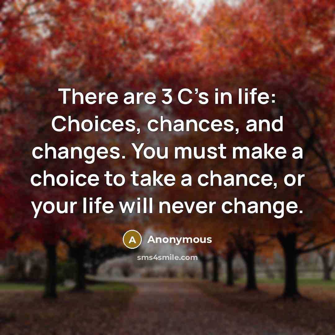 “There are 3 C's in life: Choices, chances, and changes. You must make a choice to take a chance, or your life will never change.” quote by Anonymous