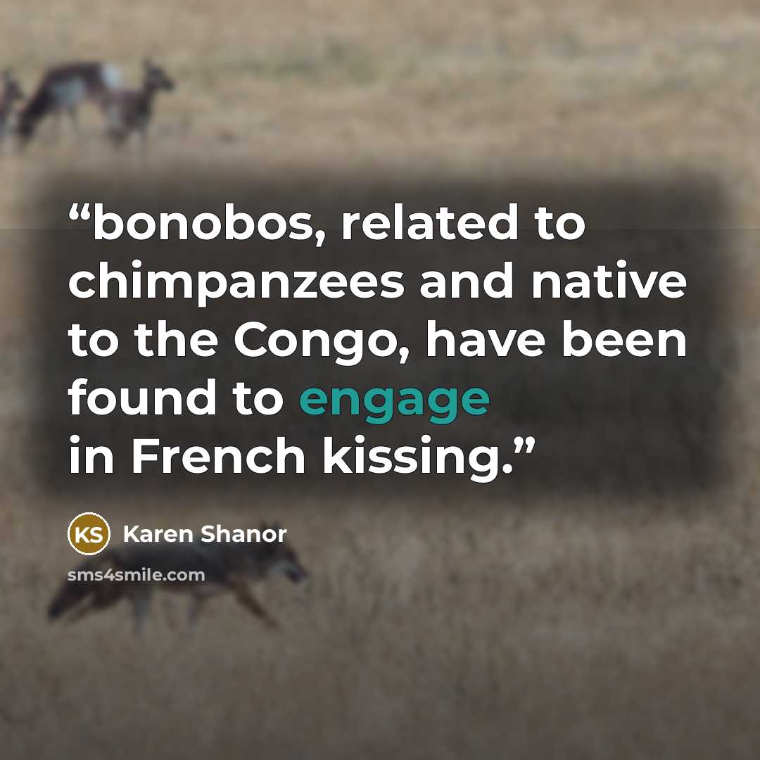 “bonobos, related to chimpanzees and native to the Congo, have been found to engage in French kissing.” quote by Karen Shanor
