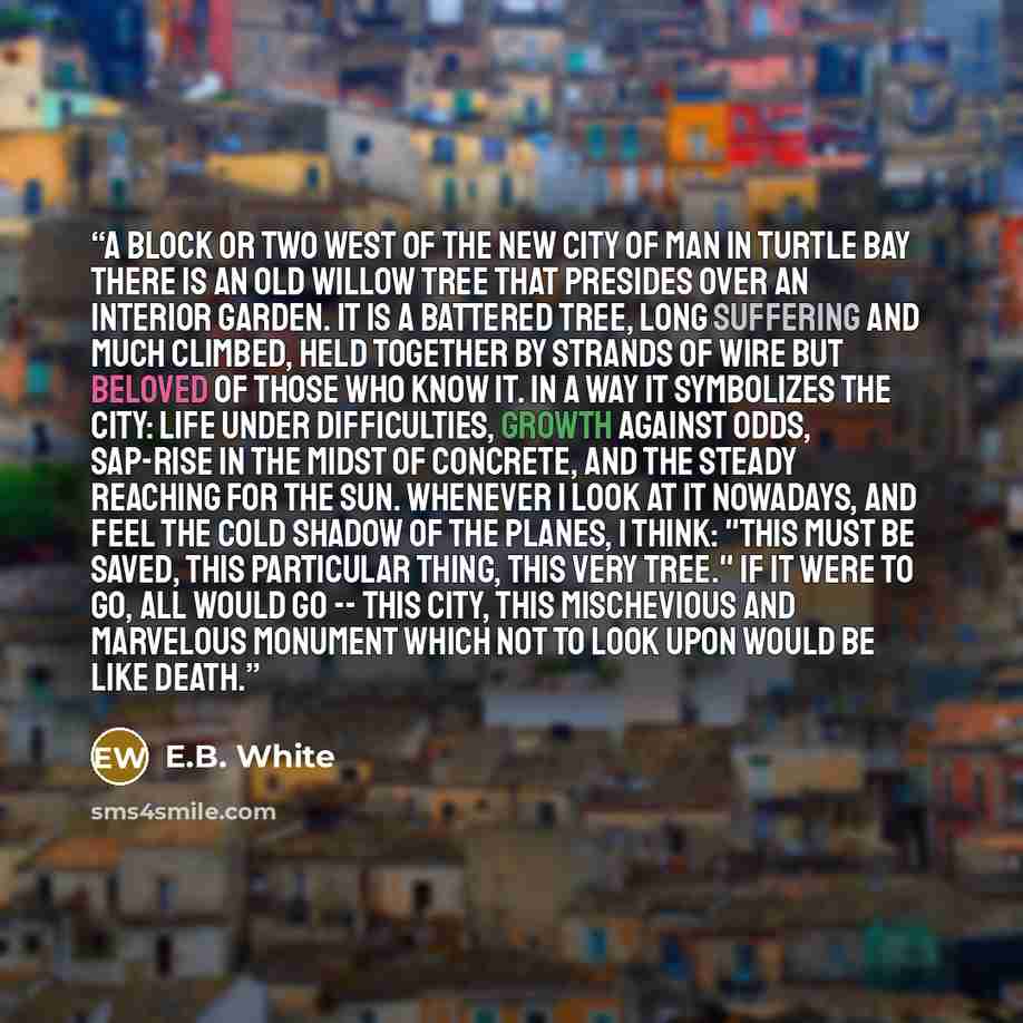 “A block or two west of the new City of Man in Turtle Bay there is an old willow tree that presides over an interior garden. It is a battered tree, long suffering and much climbed, held together by strands of wire but beloved of those who know it. In a way it symbolizes the city: life under…” quote by E.B. White