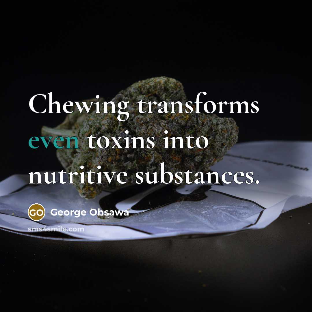 “Chewing transforms even toxins into nutritive substances.” quote by George Ohsawa
