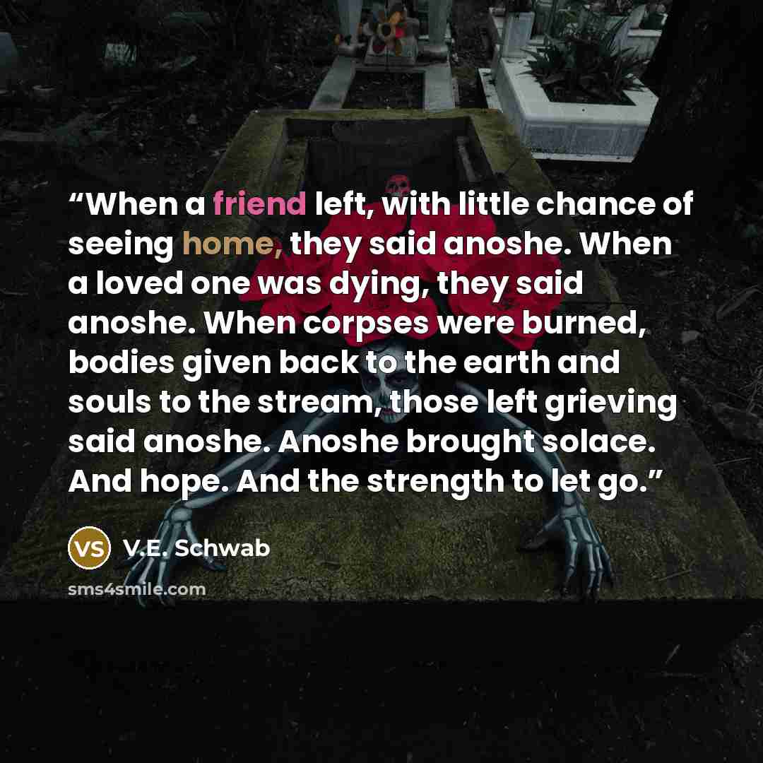 “When a friend left, with little chance of seeing home, they said anoshe. When a loved one was dying, they said anoshe. When corpses were burned, bodies given back to the earth and souls to the stream, those left grieving said anoshe. Anoshe brought solace. And hope. And the strength to let go.” quote by V.E. Schwab
