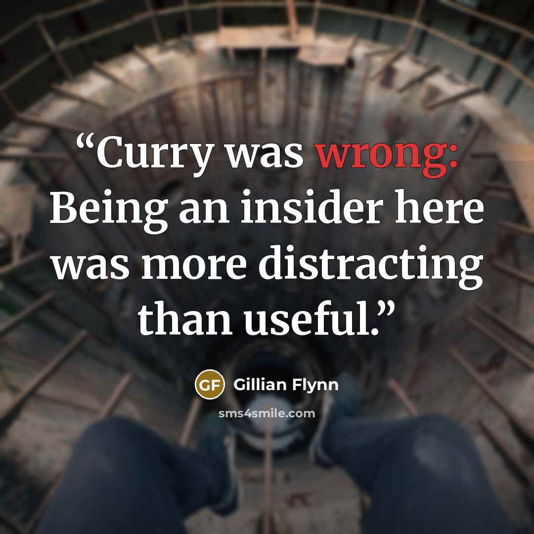 “Curry was wrong: Being an insider here was more distracting than useful.” quote by Gillian Flynn