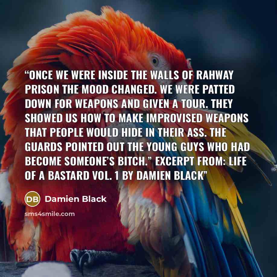 “Once we were inside the walls of Rahway Prison the mood changed. We were patted down for weapons and given a tour. They showed us how to make improvised weapons that people would hide in their ass. The guards pointed out the young guys who had become someone’s bitch.” Excerpt From: Life of a…” quote by Damien Black