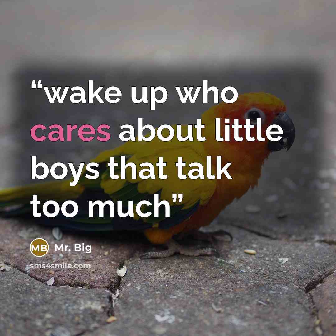 “wake up who cares about little boys that talk too much” quote by Mr. Big