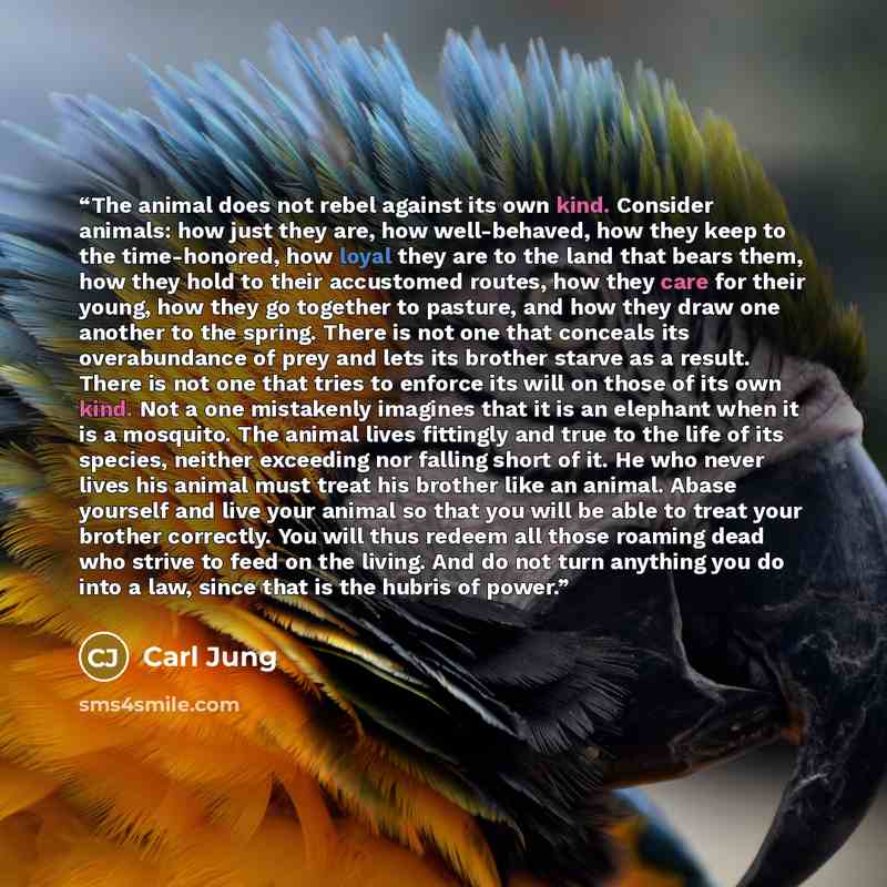“The animal does not rebel against its own kind. Consider animals: how just they are, how well-behaved, how they keep to the time-honored, how loyal they are to the land that bears them, how they hold to their accustomed routes, how they care for their young, how they go together to pasture, and…” quote by Carl Jung