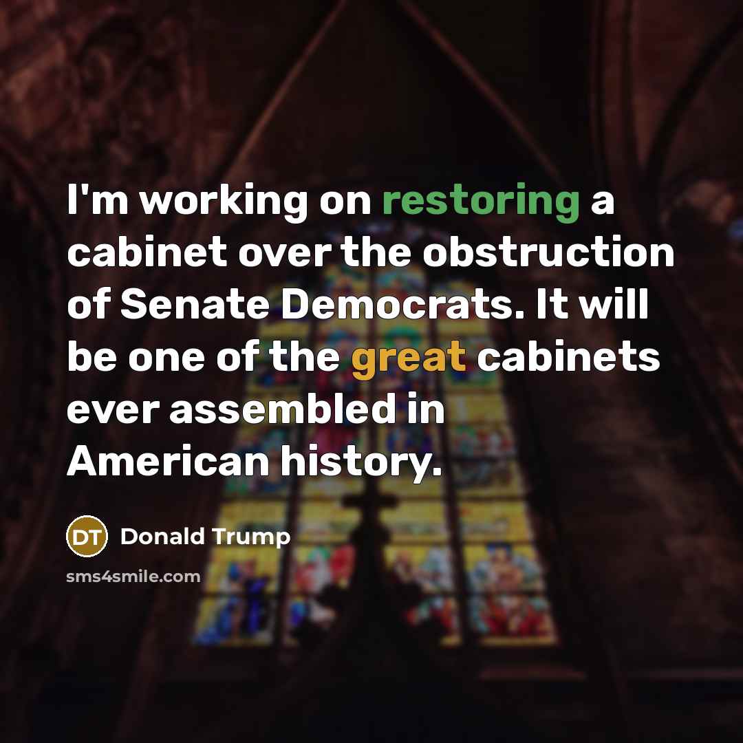 “I'm working on restoring a cabinet over the obstruction of Senate Democrats. It will be one of the great cabinets ever assembled in American history.” quote by Donald Trump
