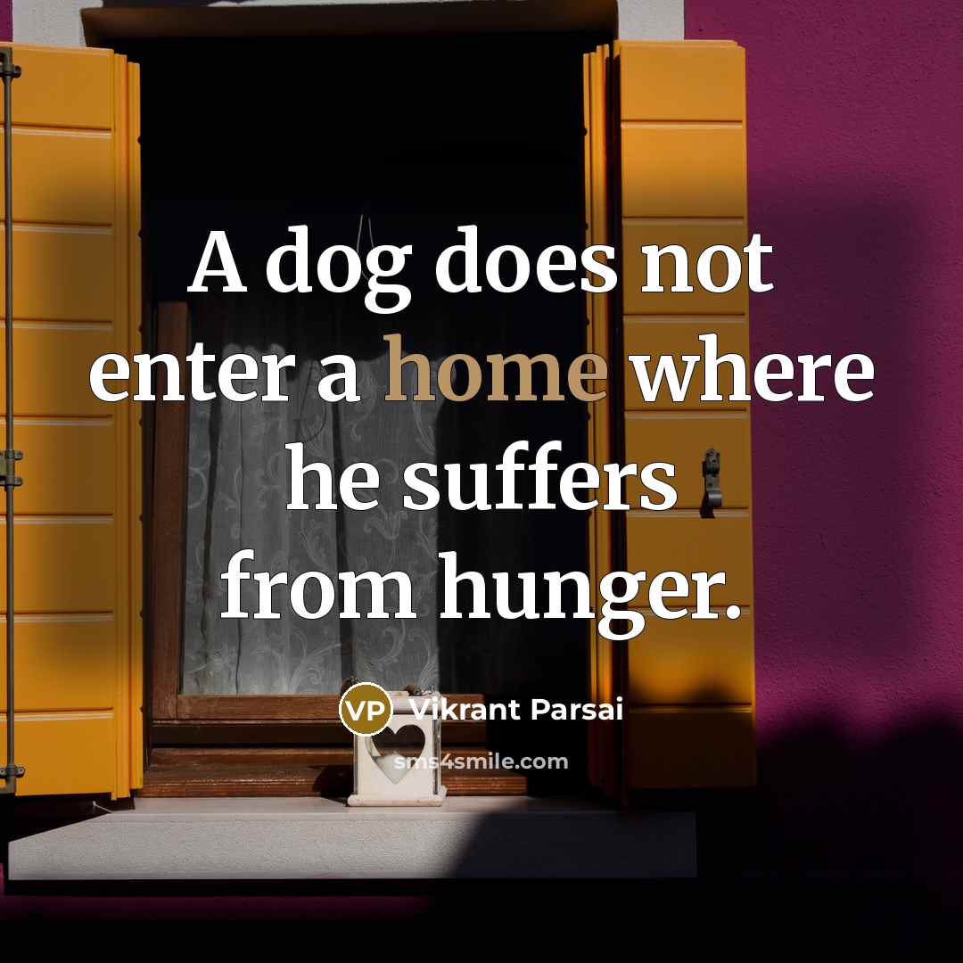 “A dog does not enter a home where he suffers from hunger.” quote by Vikrant Parsai