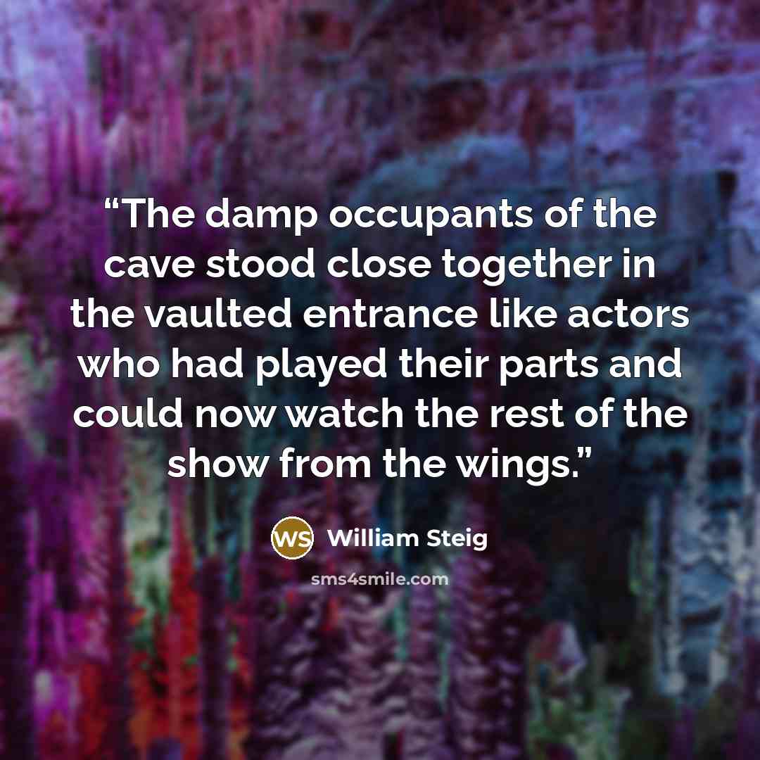 “The damp occupants of the cave stood close together in the vaulted entrance like actors who had played their parts and could now watch the rest of the show from the wings.” quote by William Steig