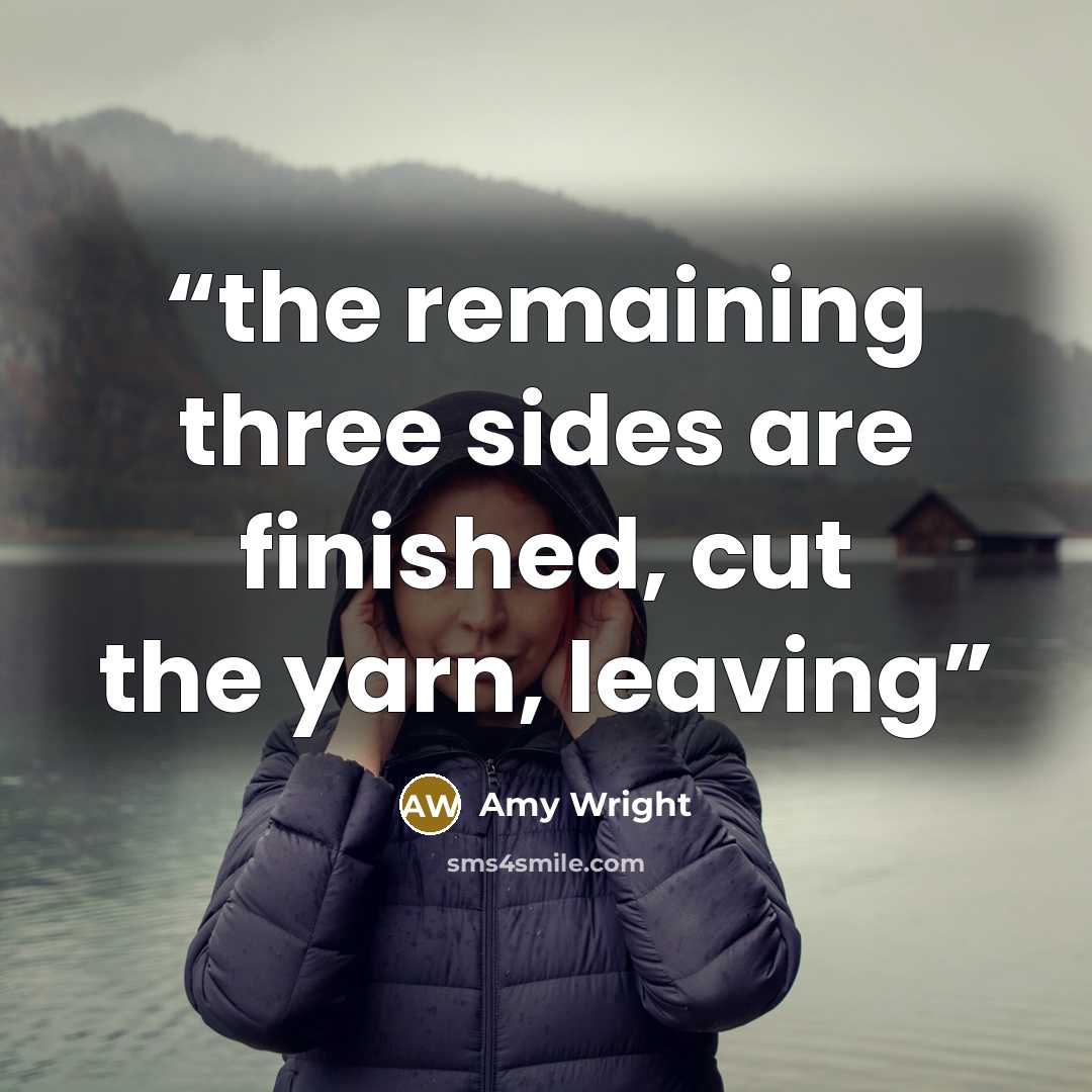 “the remaining three sides are finished, cut the yarn, leaving” quote by Amy Wright
