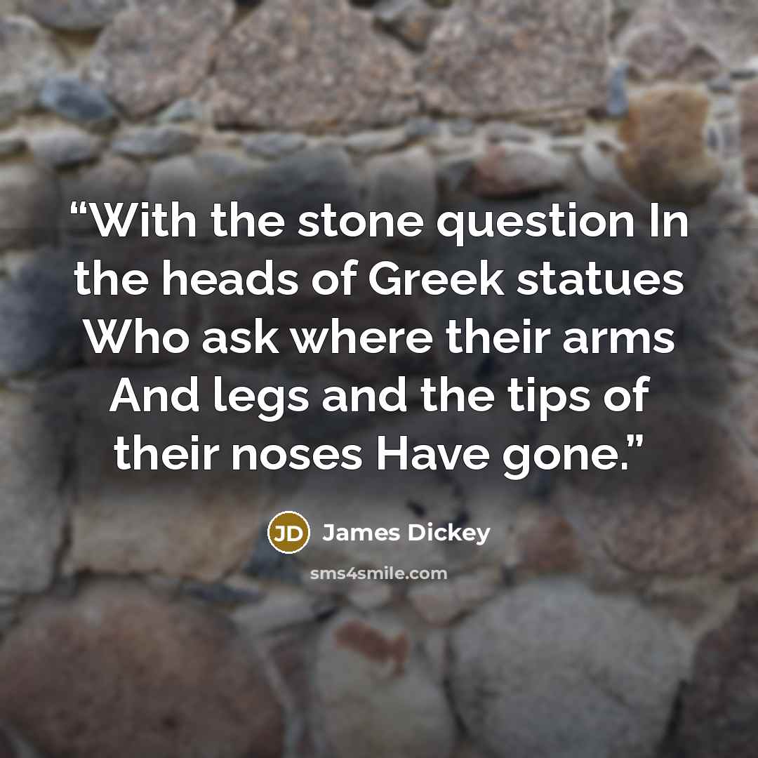 “With the stone question In the heads of Greek statues Who ask where their arms And legs and the tips of their noses Have gone.” quote by James Dickey
