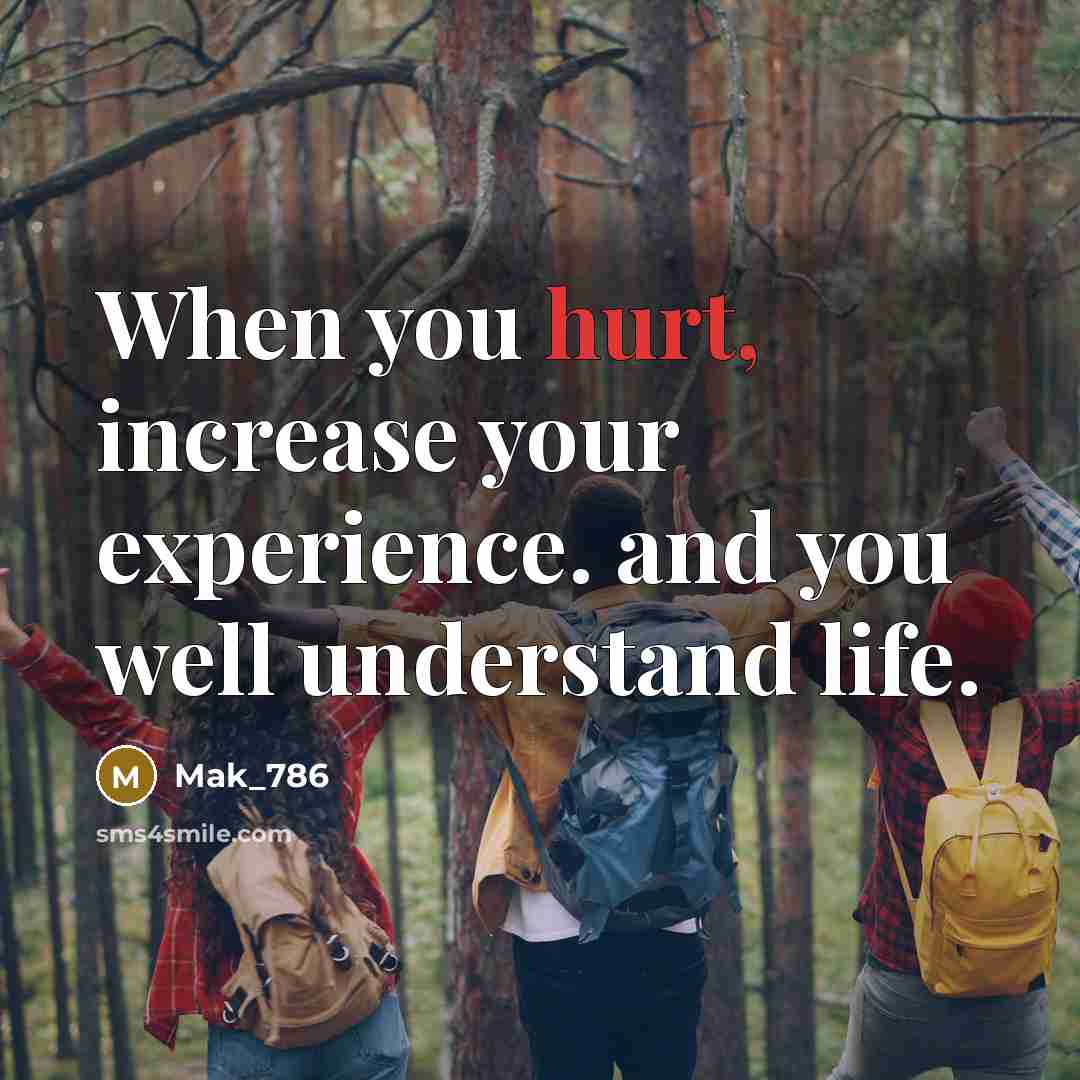 “When you hurt, increase your experience. and you well understand life.” quote by Mak_786