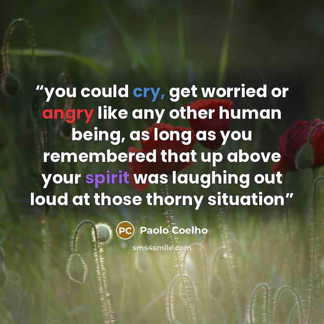 “you could cry, get worried or angry like any other human being, as long as you remembered that up above your spirit was laughing out loud at those thorny situation” quote by Paolo Coelho