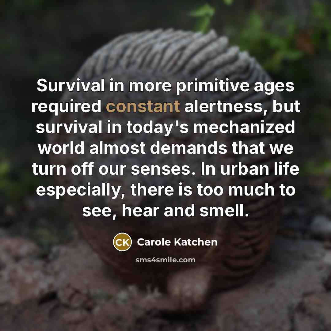 “Survival in more primitive ages required constant alertness, but survival in today's mechanized world almost demands that we turn off our senses. In urban life especially, there is too much to see, hear and smell.” quote by Carole Katchen