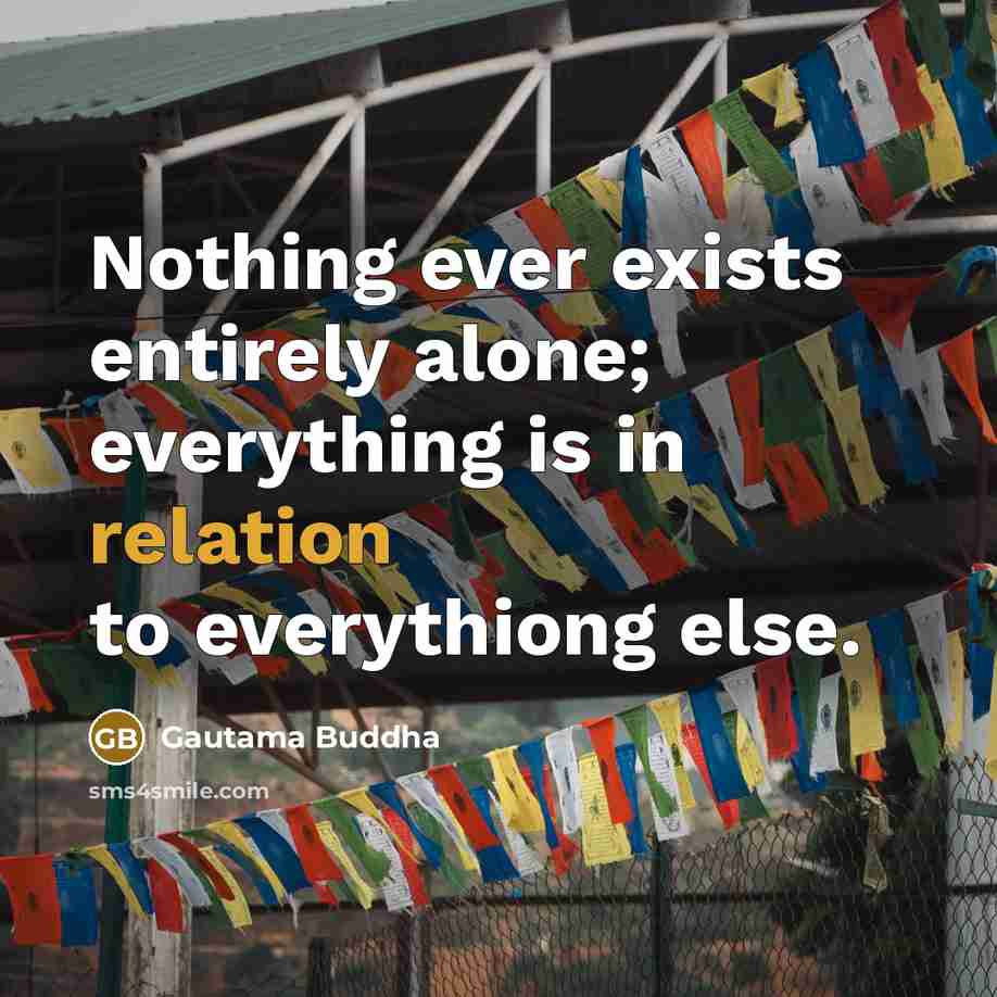 “Nothing ever exists entirely alone; everything is in relation to everythiong else.” quote by Gautama Buddha