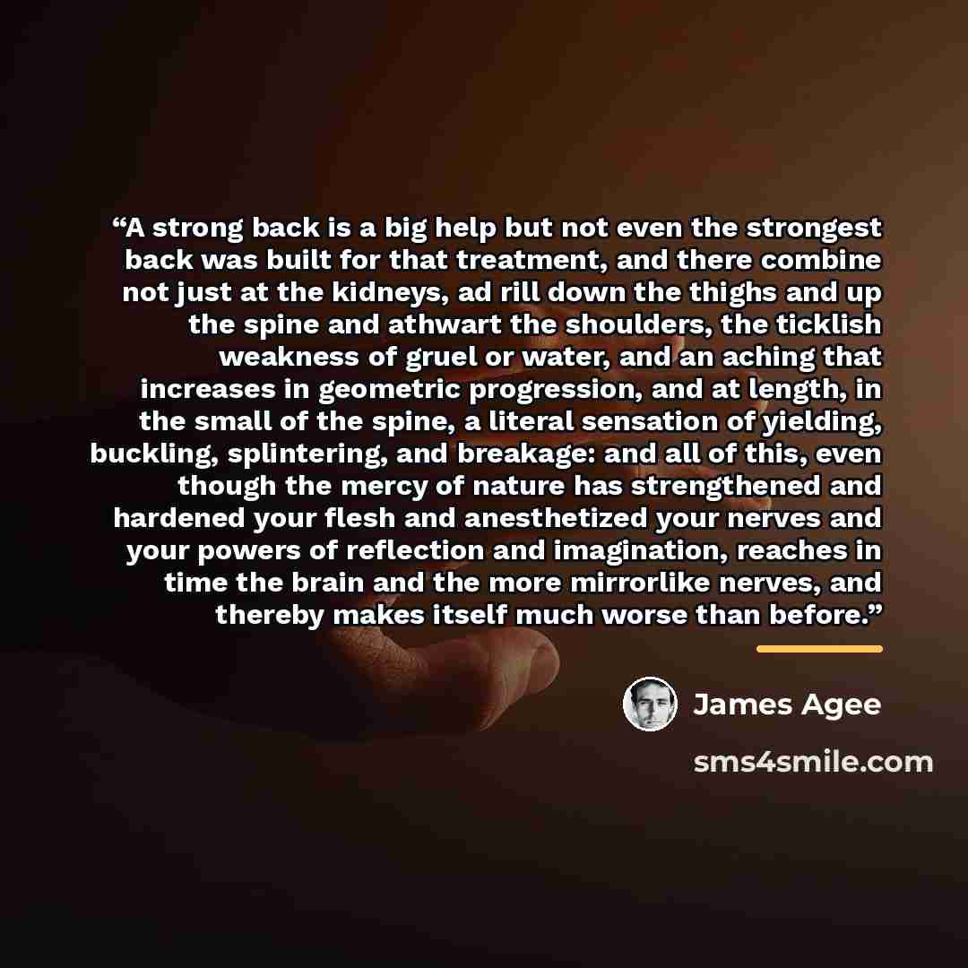 “A strong back is a big help but not even the strongest back was built for that treatment, and there combine not just at the kidneys, ad rill down the thighs and up the spine and athwart the shoulders, the ticklish weakness of gruel or water, and an aching that increases in geometric progression…” quote by James Agee