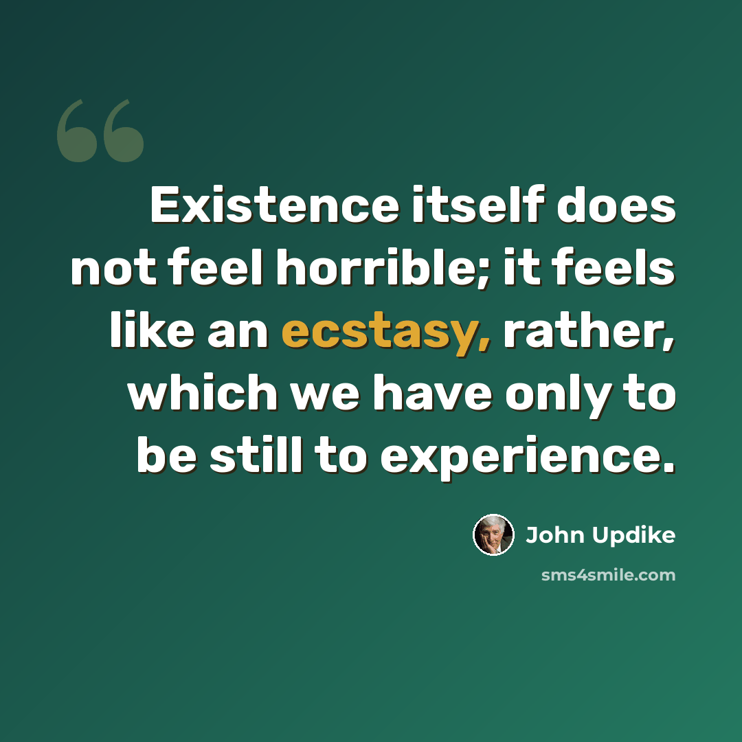 “Existence itself does not feel horrible; it feels like an ecstasy, rather, which we have only to be still to experience.” quote by John Updike