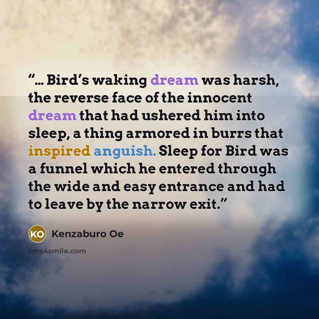 “… Bird’s waking dream was harsh, the reverse face of the innocent dream that had ushered him into sleep, a thing armored in burrs that inspired anguish. Sleep for Bird was a funnel which he entered through the wide and easy entrance and had to leave by the narrow exit.” quote by Kenzaburō Ōe