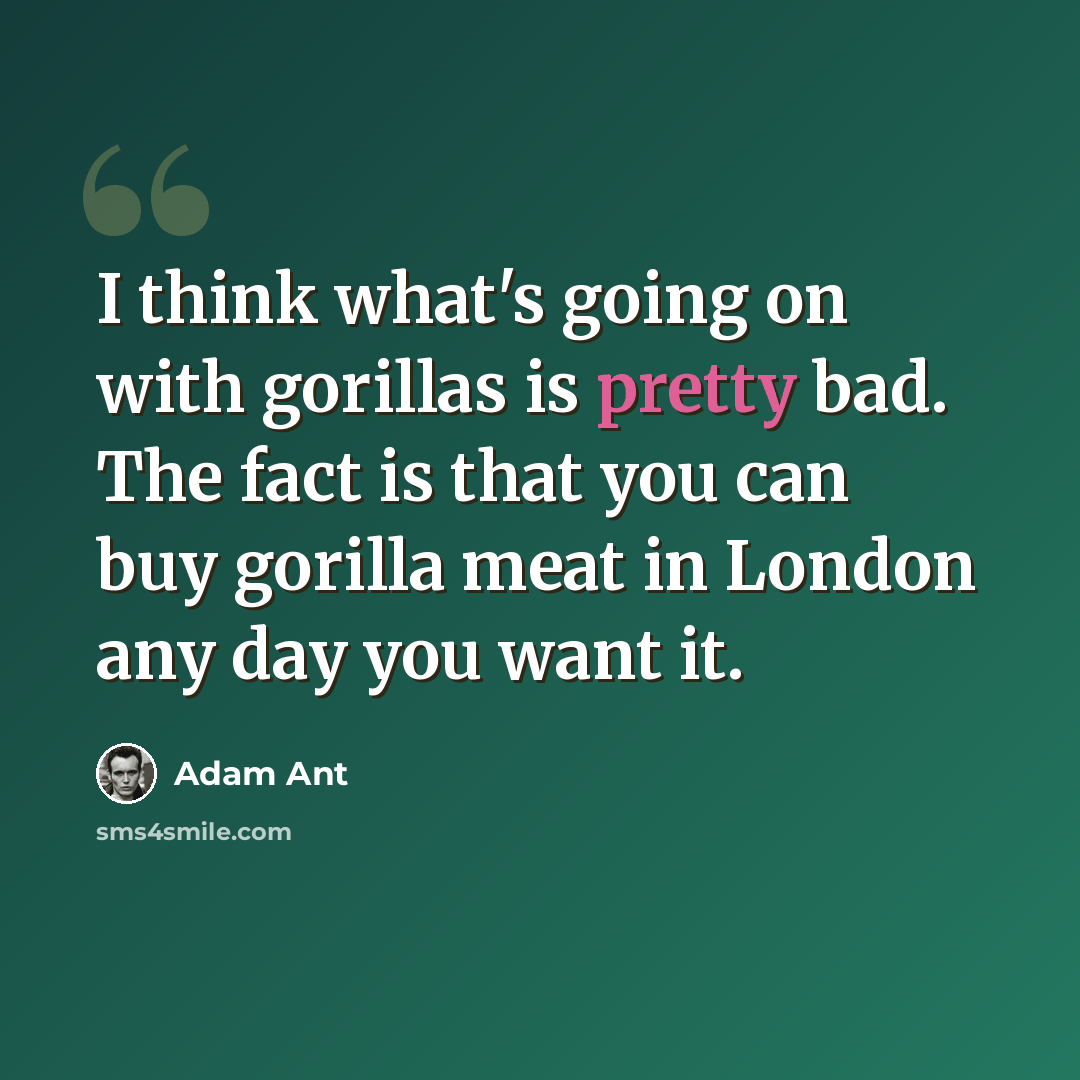 “I think what's going on with gorillas is pretty bad. The fact is that you can buy gorilla meat in London any day you want it.” quote by Adam Ant