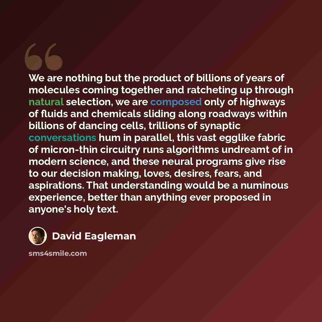 “We are nothing but the product of billions of years of molecules coming together and ratcheting up through natural selection, we are composed only of highways of fluids and chemicals sliding along roadways within billions of dancing cells, trillions of synaptic conversations hum in parallel, this…” quote by David Eagleman